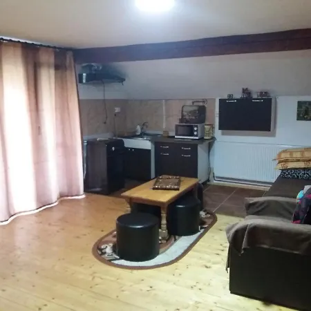 Casa Vivian Guest house Baile Herculane