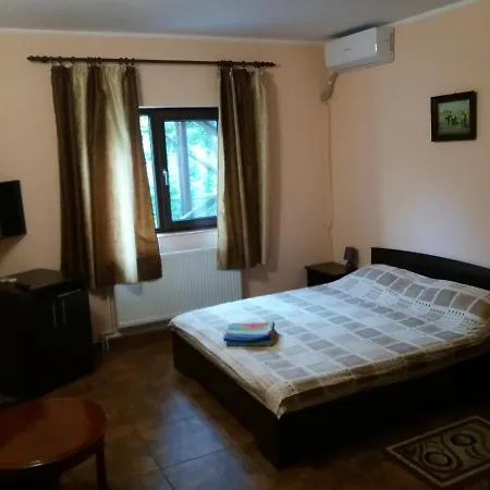 Guest house Casa Vivian Baile Herculane