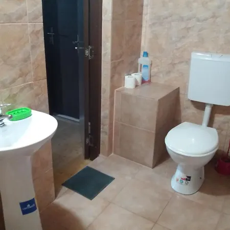 Casa Vivian Guest house Baile Herculane