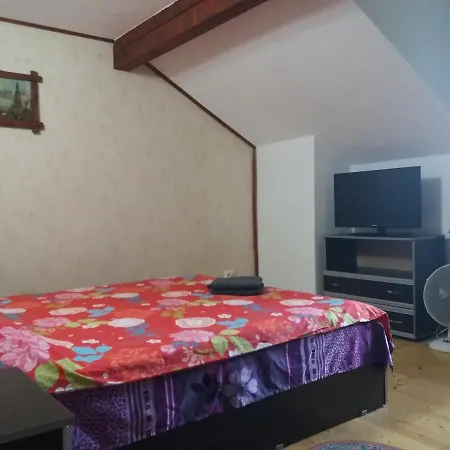 Casa Vivian * Baile Herculane