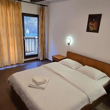 Guest house Casa Vivian Baile Herculane