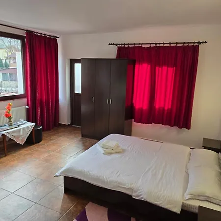 Casa Vivian Guest house Baile Herculane