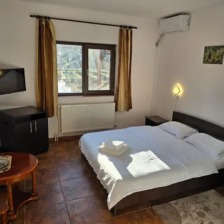 Guest house Casa Vivian *