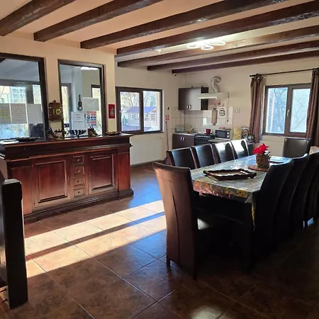 Guest house Casa Vivian Baile Herculane