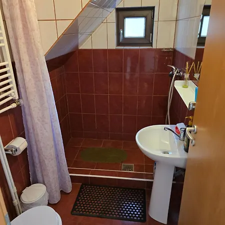Guest house Casa Vivian *
